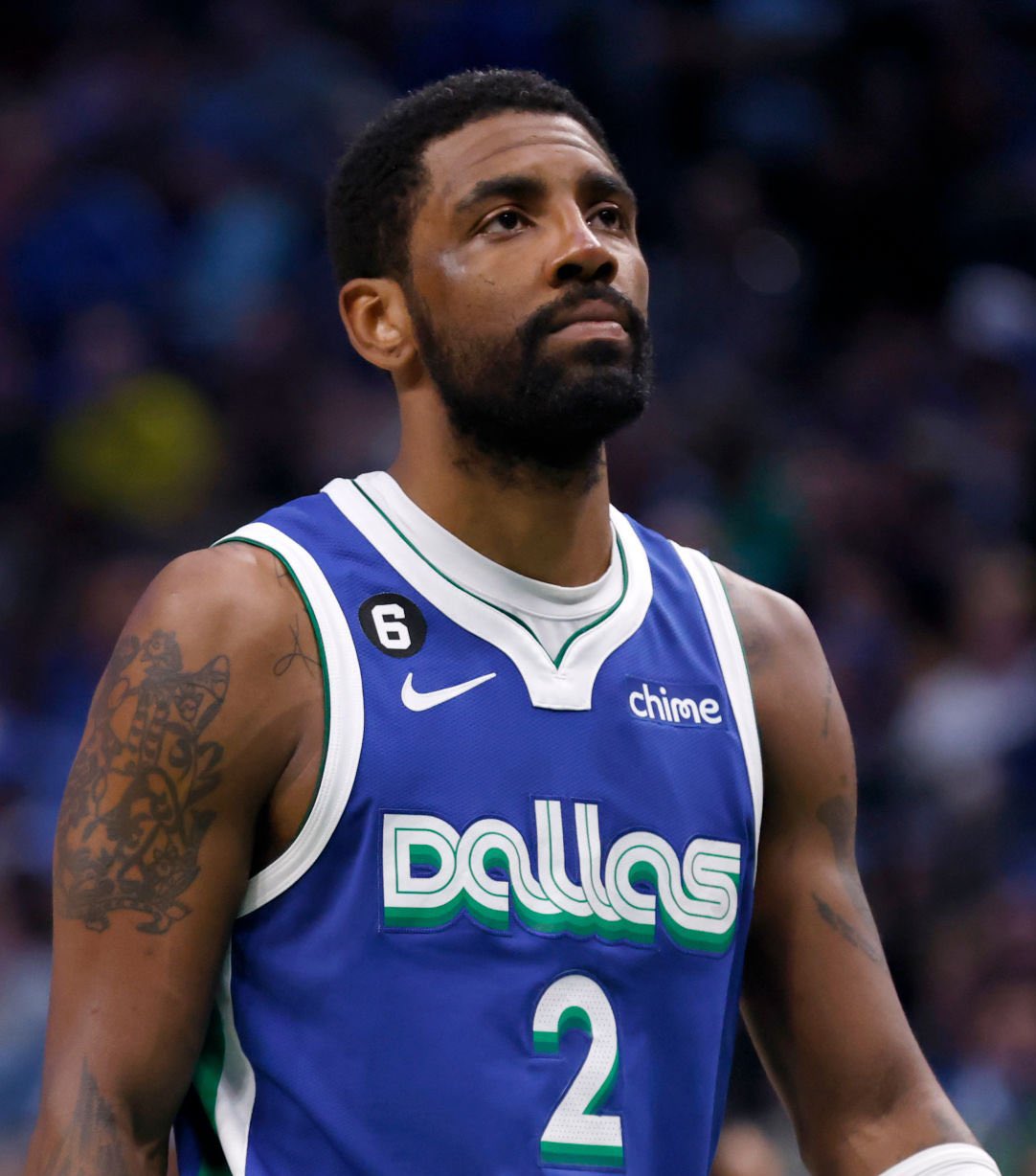 森林接触莱 森林接触莱