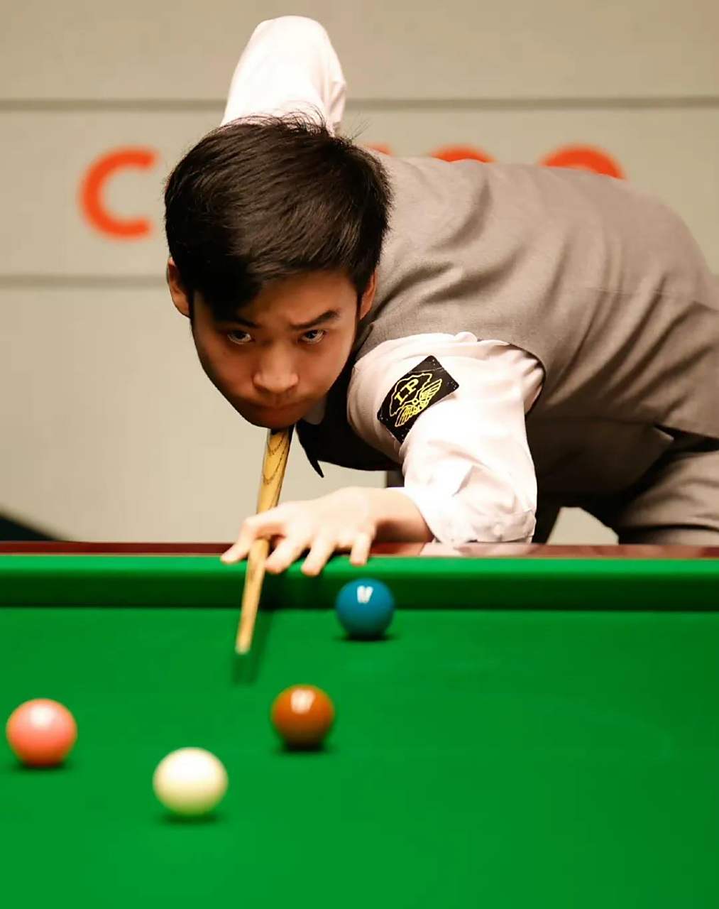 显得十分有 显得十分有