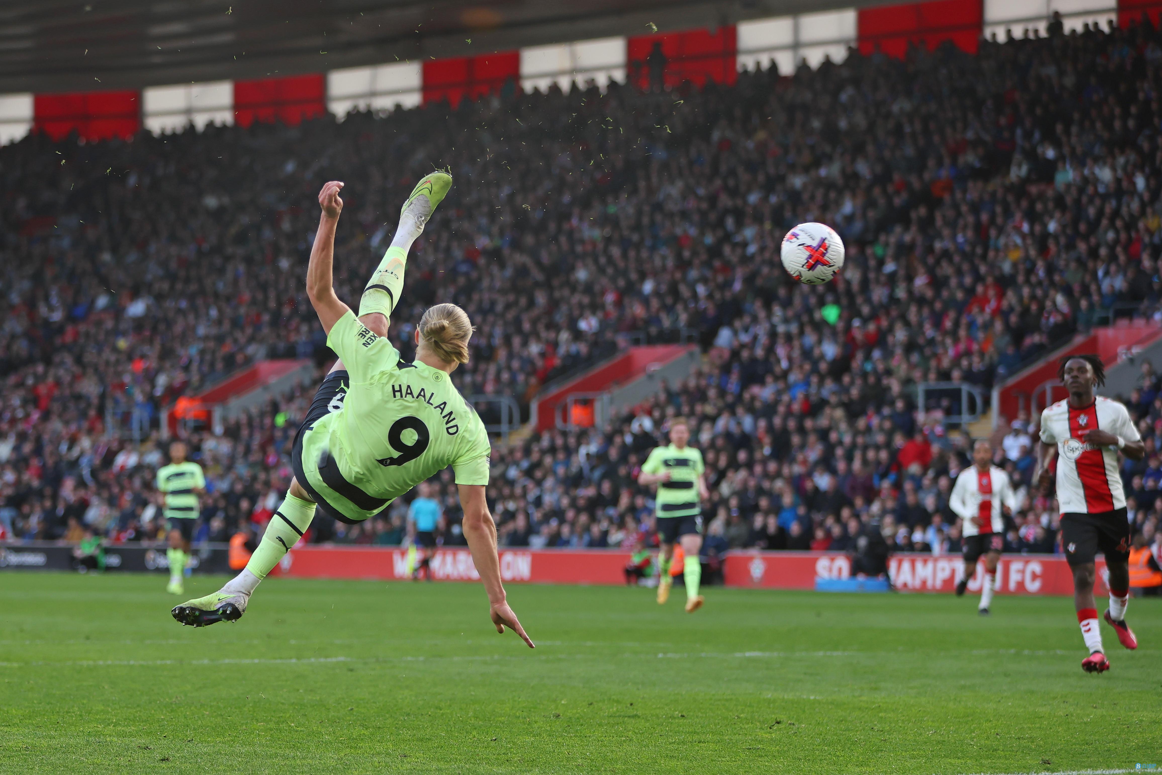 小案例能看 小案例能看